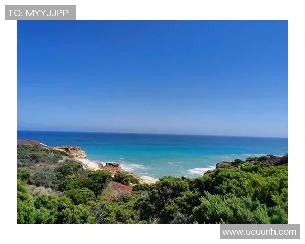 3月5日墨尔本联队迎战悉尼国王精彩对决即将上演 3月5日墨尔本联队迎战悉尼国王精彩对决即将上演